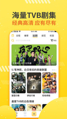 埋堆堆下载