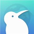 KiwiBrowser下载