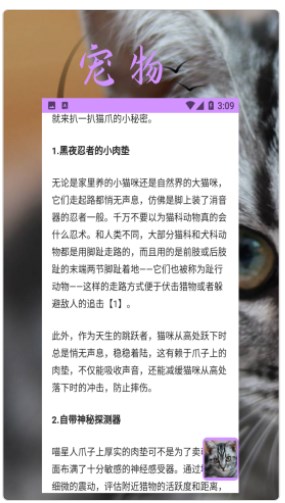 bobcat宠物app下载