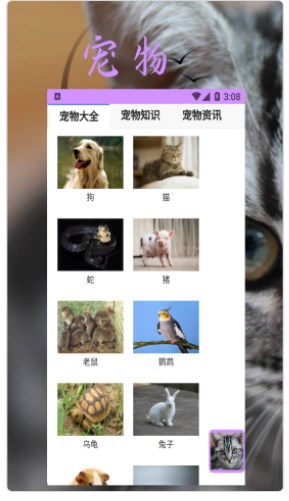 bobcat宠物app下载