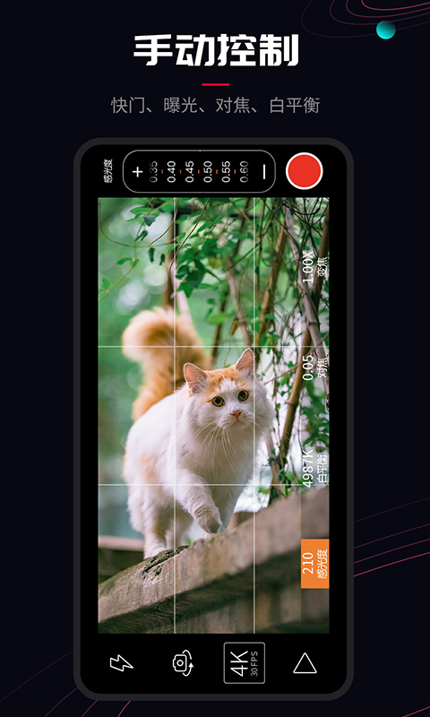 promovie安卓app下载