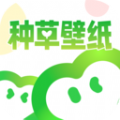 种草壁纸安卓版下载