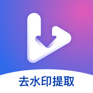 视频去水印提取软件下载