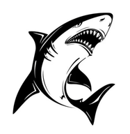 sharkTV官方最新版
