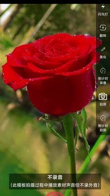 左拍app下载