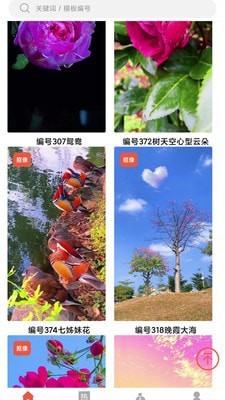 左拍app下载