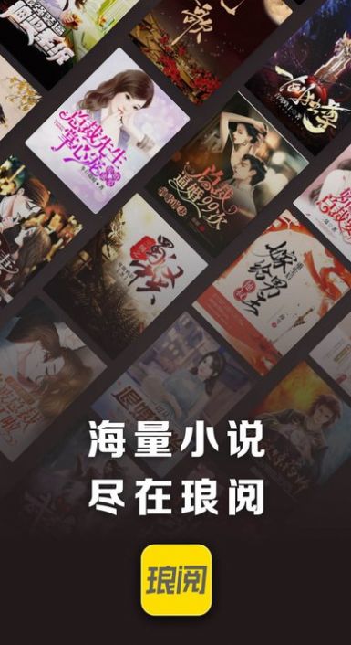 琅阅小说app下载