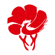 放新办app下载安卓版