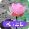 照片上色app下载免费版下载
