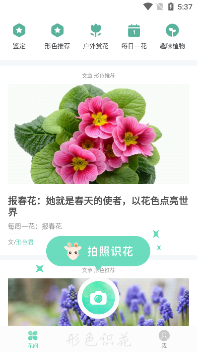 形色识植物免费下载安装最新版