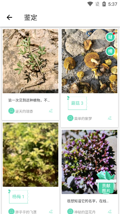 形色识植物免费下载安装最新版