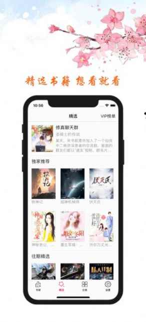 石头阅读旧版ios安装包app官方版图片2