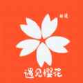 樱花大全app最新版下载