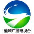 掌中通城app最新版下载