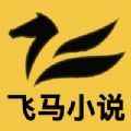 飞马小说网app最新版下载