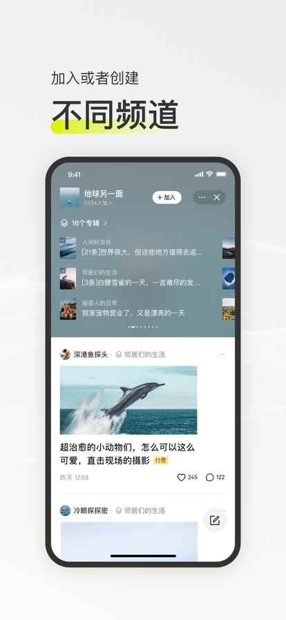 迷岛社交app手机版图片2