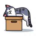 解忧小猫咪官方版app最新版下载