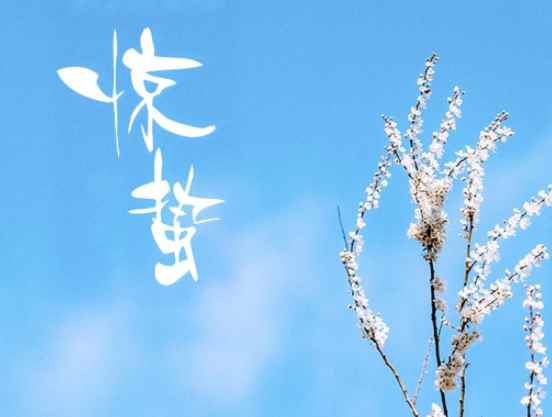 2021惊蛰图片及文案app最新版下载
