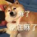 麻了表情包app最新版下载