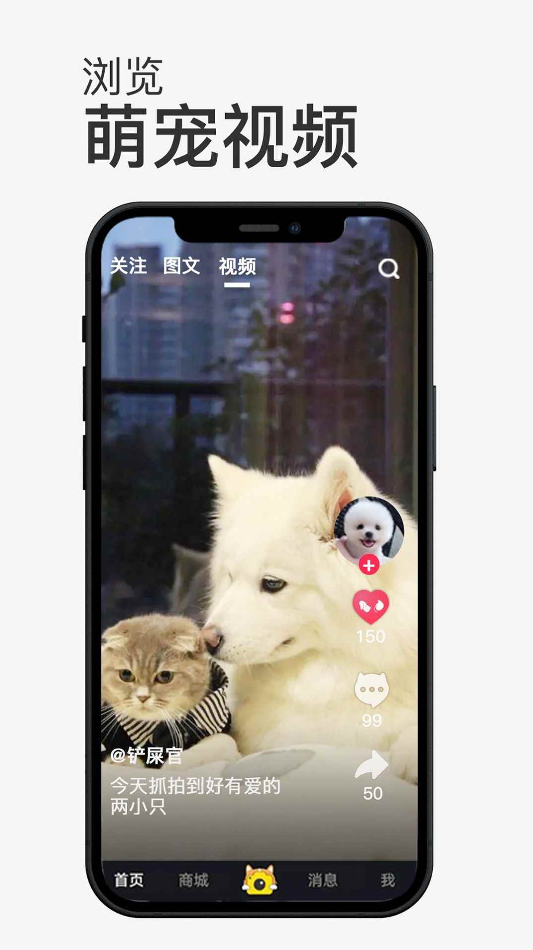 小宠书app安卓版下载图片2