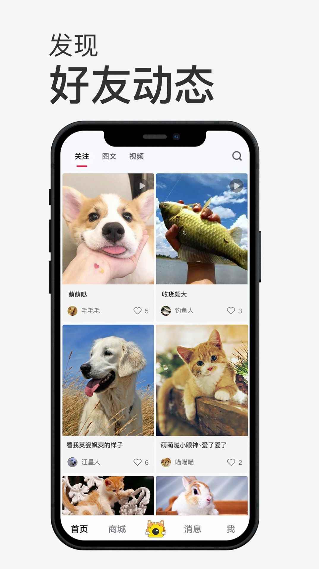 小宠书app最新版下载