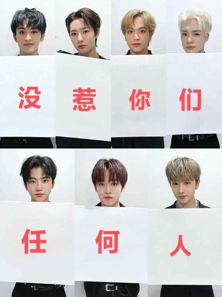 我没惹你们任何人表情包图片app最新版下载