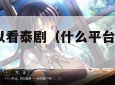 什么平台可以看泰剧(什么平台可以看泰剧TV)