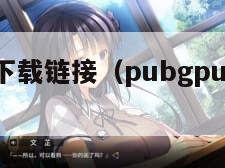 地铁逃生下载链接(pubgpubg国际服下载)