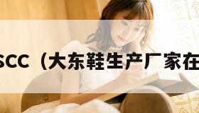 DDXSCC(大东鞋生产厂家在哪里)