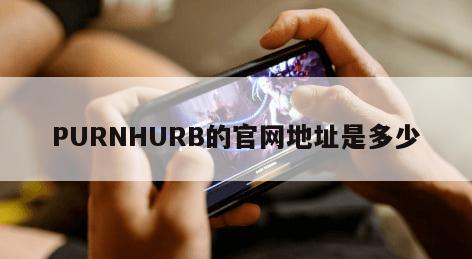 PURNHURB的官网地址是多少