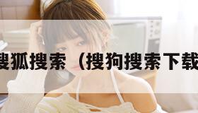 搜狐搜索(搜狗搜索下载)