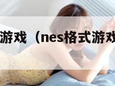 nes格式游戏(nes格式游戏合集zip)